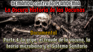 La vacuna de la gripe