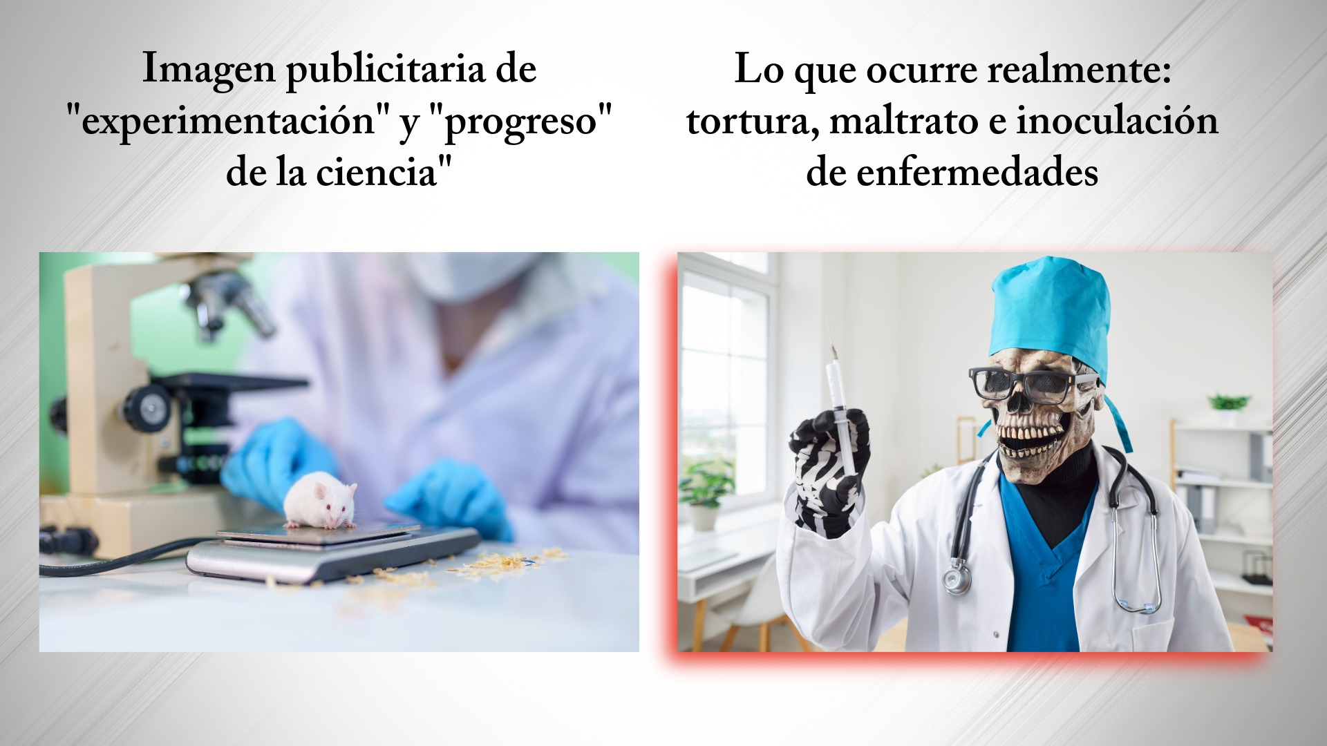 La vivisección y la experimentación no consentida en seres humano: ¿qué hay detrás del avance de la Ciencia Oficial?