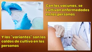 Los caldos de cultivo humano son las variantes