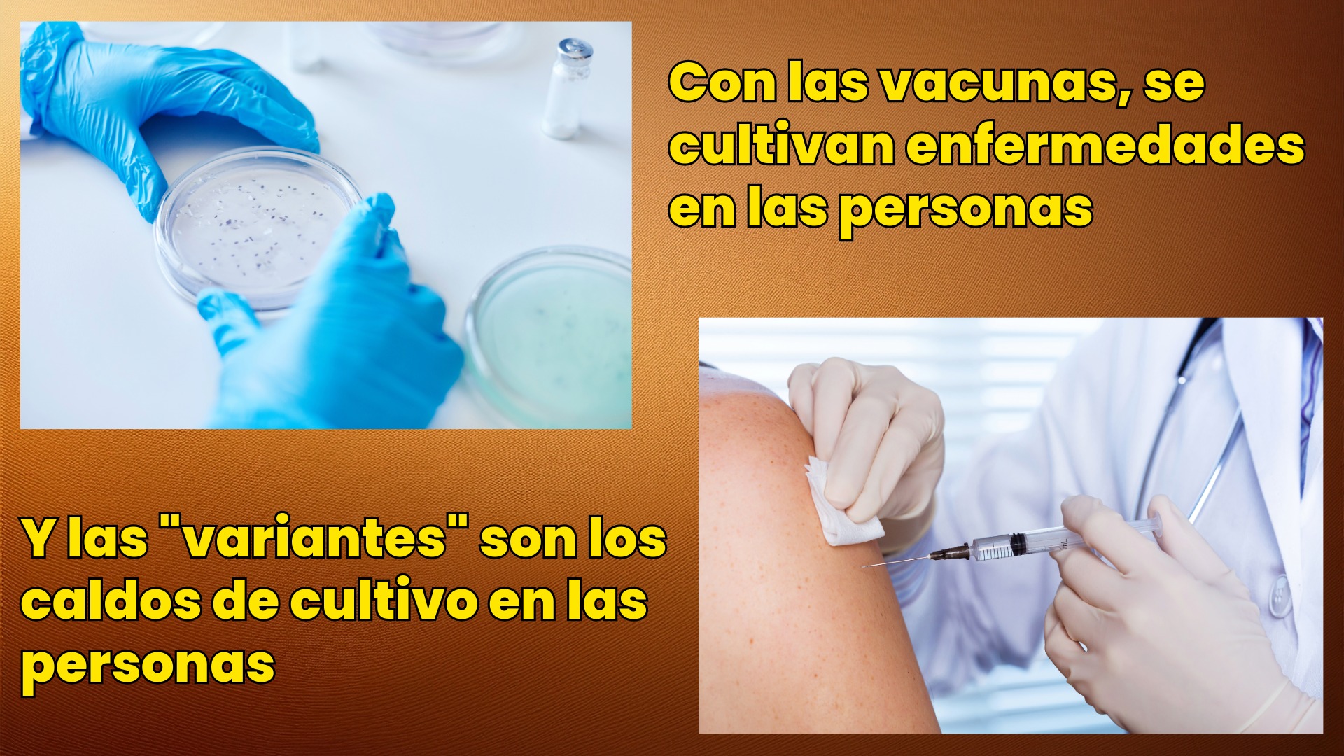 LAS CEPAS DE LA VACUNA COVID-19, ¡DESINFORMACIÓN Y TERRORISMO DE ESTADO!