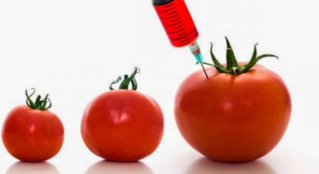 El envenenamiento masivo del aceite de colza, ¡una razón de Estado!