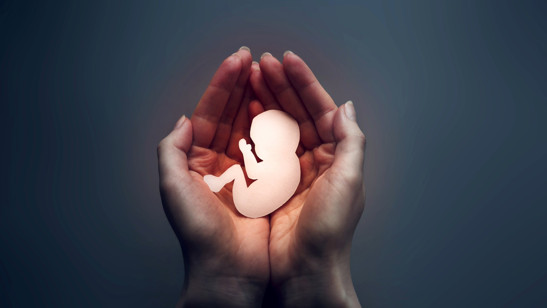 El aborto: ¡el crimen de los inocentes!